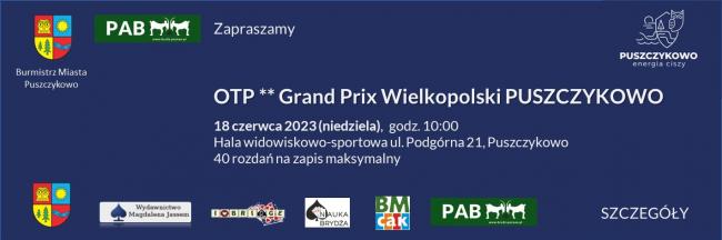 GRAND PRIX WIELKOPOLSKI W&nbsp;PUSZCZYKOWIE